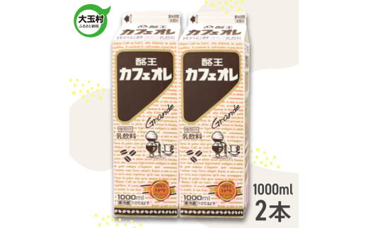  JtFI 1000ml × 2{ Zbgb ʑ JtF R[q[  ǂ n  ʑ | pl-ca-1000ml-2sʑ6000ER[q[Eg