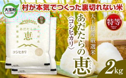 米 大玉村産厳選米「あだたらの恵」特等(品種:コシヒカリ) 2kg 《 令和7年産  》| 福島 大玉村 お米 米作り こしひかり 令和7年 精米 白米 こめ コメ ご飯  大玉村農業振興公社 | on-akt-2kg