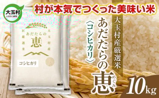 米 大玉村産厳選米「あだたらの恵」(品種:コシヒカリ) 10kg 《 令和7年産  》| 福島 大玉村 お米 米作り こしひかり 令和7年 精米 白米 こめ コメ ご飯  大玉村農業振興公社 | on-ak-10kg-r7