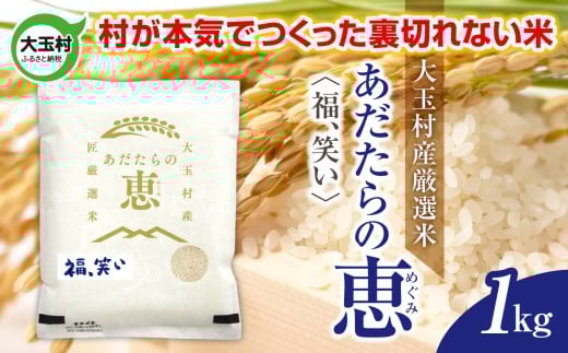 米 大玉村産厳選米「あだたらの恵」(品種:福、笑い) 1kg 《 令和7年産  》| 福島 大玉村 お米 米作り 福、笑い 令和7年 精米 白米 こめ コメ ご飯  大玉村農業振興公社 | on-af-1kg-r7福島県