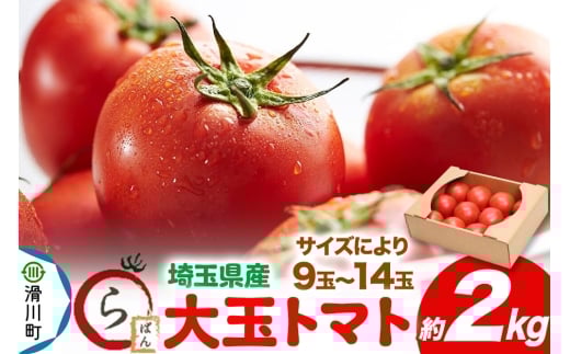 ʃg}g 2kgiTCYɂ9ʁ`14ʁjʌY g}gʌ쒬12000؁Êg}g