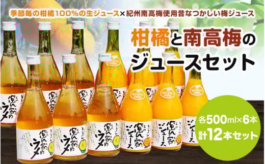 紀州産ミカンジュースと南高梅のジュースセット 季節毎の柑橘ジュース500ml×6本・梅ジュース500ml×6本 / 和歌山 和歌山県産 田辺市 紀州南高梅 梅  梅ジュース みかん みかんジュース 100%