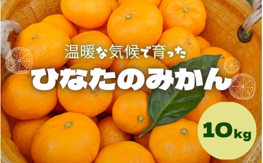 <先行予約>ひなたのみかん 10kg (箱込み)※2025年12月頃に順次発送予定【期間限定・2025/12/25まで】  / みかん 柑橘 田辺市 期間限定 先行予約 ミカン 和歌山 紀州【okm010】和歌山県田辺市240