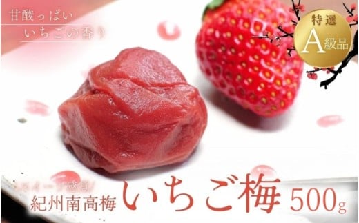 紀州南高梅 いちご梅 500g  / 紀州南高梅 南高梅 梅干し 梅干 梅 うめ 和歌山 田辺市 肉厚 お米 おにぎり 焼酎 梅酒 健康 いちご梅 産地直送【nkn008-3】和歌山県田辺市12000鍋セット・総菜・加工