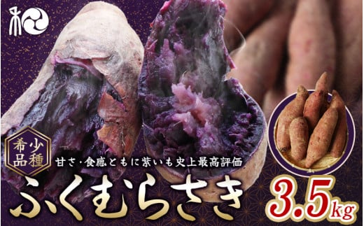 y2025N\zӂނ炳 (܂)@3.5kg yԌEs\E1115܂Łz11{`12{ɏ\ / 󏭕i  TCY ~̖o { Â  cӎs