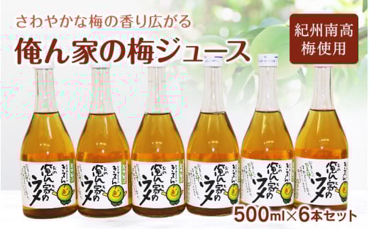 俺ん家の梅ジュース500ml×6本セット / 和歌山 和歌山県産 田辺市 紀州南高梅 南高梅 梅 梅ジュース なつかしい【ktr004-2】和歌山県田辺市12000お茶・飲料果汁・野菜飲料