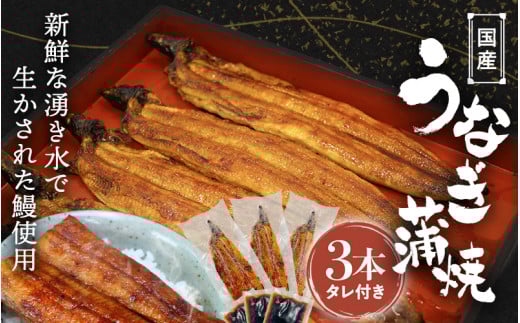 国産うなぎ蒲焼(3本)タレ付き  / うなぎ 鰻 うなぎ 蒲焼き うなぎ蒲焼 和歌山 田辺市 国産 国産うなぎ 国産鰻 鰻丼 うな丼 土用の丑の日 【ots017】和歌山県田辺市30000魚介・海産物うなぎ