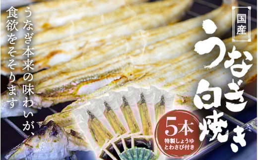 国産うなぎ白焼(5本) / 田辺市 国産 国産うなぎ 国産鰻 うなぎ 鰻 鰻丼 うな丼 土用の丑の日 和歌山【ots021】和歌山県田辺市50000魚介・海産物うなぎ