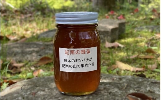 純粋日本蜂蜜(紀南の蜂蜜) 600g  / 田辺市 はちみつ ハチミツ 蜂蜜  無添加 国産 山蜜【nts008】和歌山県田辺市19000鍋セット・総菜・加工食品ジャム・はちみつ