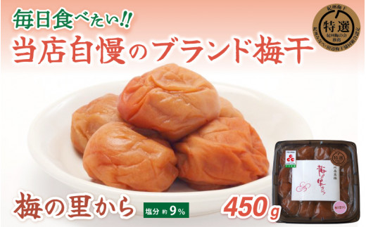 梅の里から450g (塩分9%) / 田辺市 紀州南高梅 南高梅 梅干し 梅干 梅 ご飯のお供【ing015-1】和歌山県田辺市8000鍋セット・総菜・加工食品漬物・梅干・キムチ