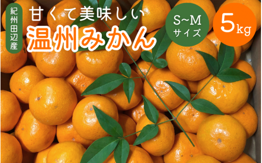 <先行予約> 紀州田辺産 甘くて美味しい温州みかん5kg(S〜Mサイズ※箱込み) ※11月中旬〜12月下旬頃に順次発送予定【期間限定・12/10まで】 / 早生みかん 早生 ミカン 柑橘 フルーツ