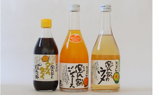 紀州産ミカンジュースと南高梅のジュースと橙ポン酢セット  季節毎の柑橘ジュース500ml×1本、梅ジュース500ml×1本、橙ポン酢360ml×1本 / 和歌山 和歌山県産 田辺市 紀州南高梅 梅  梅ジュー
