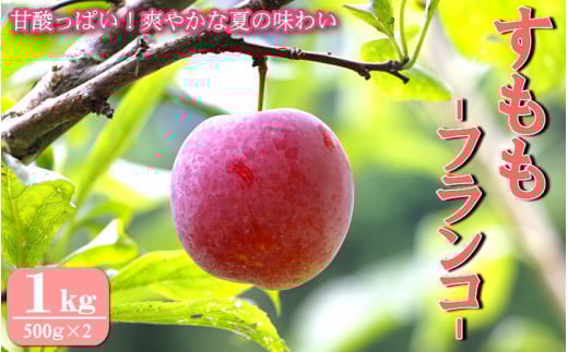 先行予約 すもも(フランコ)1kg ※6月中旬〜7月中旬頃に順次発送予定【期間限定・2026/6/20まで】 / スモモ お取り寄せ 期間限定 夏 フルーツ 果物 サンタローザ 和歌山県 田辺市【mtm008-1】和