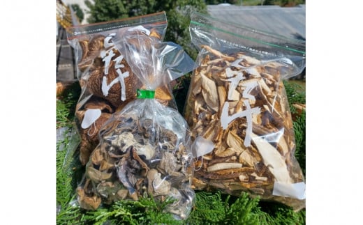 干ししいたけ・きざみしいたけ・干しきくらげのセット / 肉厚 乾燥 きのこ 出汁 だし シイタケ 椎茸 キクラゲ 和歌山県 田辺市【mas004】和歌山県田辺市10000野菜・きのこきのこ