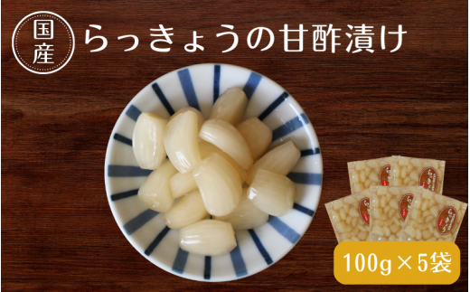 らっきょうの甘酢漬け100g×5 / 無添加 漬物 ごはんのおとも 惣菜 和歌山 田辺市【ksn005】和歌山県田辺市10000鍋セット・総菜・加工食品漬物・梅干・キムチ