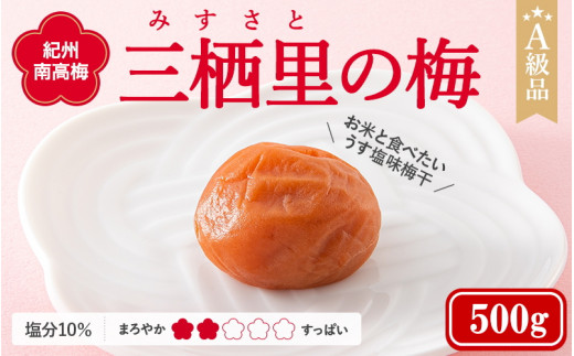 紀州南高梅 三栖里の梅(塩分10%) 500g  / 田辺市 紀州南高梅 南高梅 梅干し 梅干 梅  肉厚 お米 おにぎり 焼酎 梅酒 健康 【ske021-1】和歌山県田辺市11000鍋セット・総菜・加工食品漬物・梅
