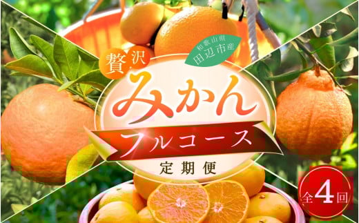 【4回定期便】和歌山 贅沢みかんフルコース (宮川早生みかん・ポンカン・紅八朔・不知火) ※2025年12月より発送(期間限定・12/20まで受付) / 和歌山県 ミカン フルーツ 果物 柑橘 田辺市