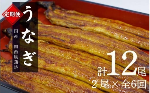 【6カ月定期便】国産うなぎ蒲焼(2本)タレ付き×6回 /  定期便 毎月お届け 和歌山 田辺市 国産 国産うなぎ 国産鰻 うなぎ 鰻 鰻丼 うな丼 土用の丑の日 冷凍【ots025-tk】和歌山県田辺市144000