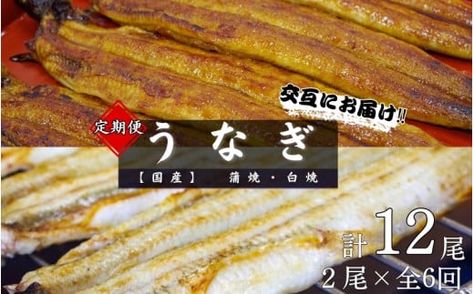【6カ月定期便】【交互にお届け】国産うなぎ蒲焼 (2本) タレ付×3回 国産うなぎ白焼 (2本) 醤油・わさび付き×3回 /  定期便 毎月お届け 和歌山 田辺市 国産 国産うなぎ 国産鰻 うなぎ 鰻 鰻丼