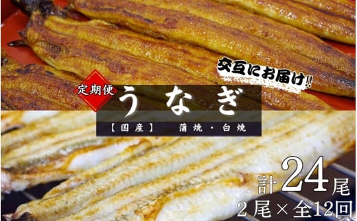 【12カ月定期便】【交互にお届け】国産うなぎ蒲焼 (2本) タレ付×6回 国産うなぎ白焼 (2本) 醤油・わさび付き×6回 /  定期便 毎月お届け 和歌山 田辺市 国産 国産うなぎ 国産鰻 うなぎ 鰻 鰻