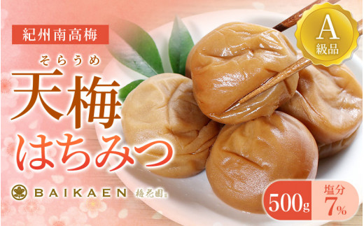 紀州南高梅 天梅(そらうめ)はちみつ 500g 塩分約7% A級品 大粒5Lサイズ /  梅干し 梅干 うめぼし 南高梅 はちみつ梅 はちみつ梅干し 国産 梅 うめ ウメ 健康 ご飯のお供 和歌山県 田辺市【bik002