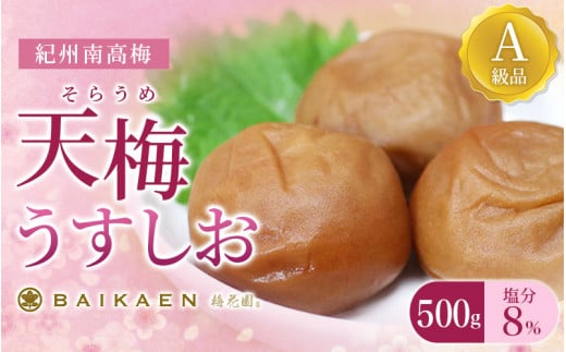 紀州南高梅 天梅(そらうめ)うすしお 500g 塩分約8% A級品 大粒5Lサイズ /  梅干し 梅干 うめぼし 南高梅 国産 梅 うめ ウメ 健康 ご飯のお供 和歌山県 田辺市【bik004】和歌山県田辺市8000鍋セッ