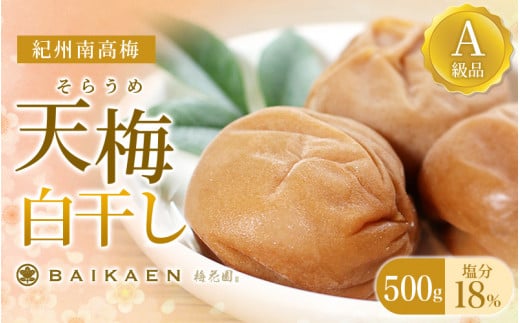 紀州南高梅 天梅(そらうめ)白干し 500g 塩分約18% A級品 大粒5Lサイズ /  梅干し 梅干 うめぼし 南高梅 国産 梅 うめ ウメ 白梅 白干し梅 健康 ご飯のお供 和歌山県 田辺市【bik006】和歌山県田辺