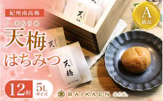 紀州南高梅 天梅(そらうめ)はちみつ 12粒 個包装 塩分約7% A級品 大粒5Lサイズ 木箱入り /  梅干し 梅干 うめぼし 南高梅 国産 梅 うめ ウメ はちみつ梅 健康 ご飯のお供 贈答 贈り物 和歌山県