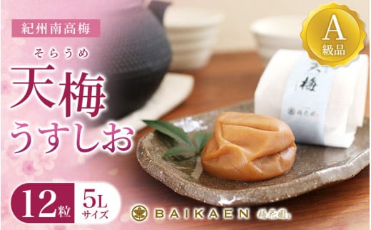 IB썂~ V~(炤) 12  8 Ai 嗱5LTCY ؔ /  ~ ~ ߂ڂ 썂~ Y ~  E N т̂  蕨 a̎R cӎsybik0