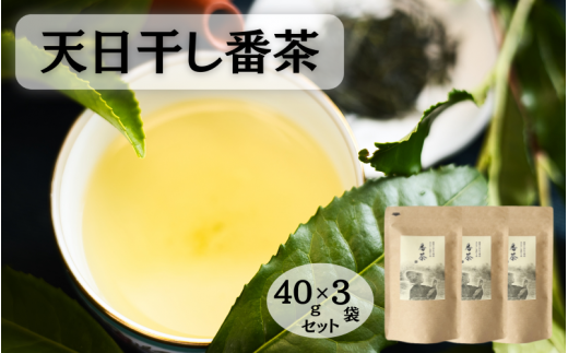 天日干し番茶40g 3袋セット / 和歌山  田辺市  健康 お茶 和風  煎茶 釜炒り茶 ティーバッグ 番茶 【ntc011-1】和歌山県田辺市8000お茶・飲料コーヒー・紅茶