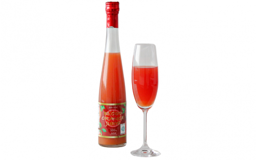 ブラッドオレンジジュース 360ml×12本 / 和歌山県 田辺市 ブラッドオレンジ オレンジジュース 果汁100% ストレート 無添加 和歌山県産【mrn021】和歌山県田辺市60000お茶・飲料果汁・野菜飲料