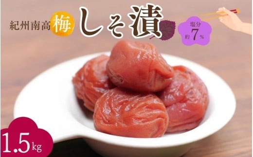 IB썂~ Ёi7j1.5kgi500g×3j/ IB썂~ 썂~ ~ ~ ~  a̎R cӎs   ɂ Ē ~ N ~ Ynynkn023-2za̎Rcӎs25000Z