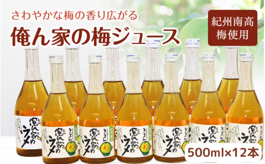 俺ん家の梅ジュース500ml×12本セット / 和歌山 和歌山県産 田辺市 紀州南高梅 南高梅 梅 梅ジュース なつかしい【ktr017-1】和歌山県田辺市22000お茶・飲料果汁・野菜飲料