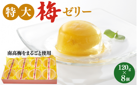 ~[[ 120g×8  / cӎs IB썂~ 썂~ ~ ~ ~  [[   XC[c  Ђ ykbe045-1za̎Rcӎs15000َqEXC[cvE[[