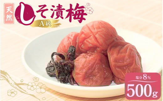 天然 しそ漬梅 塩分8% 500g/田辺市 紀州南高梅 南高梅 梅干し 梅干 梅 うめ 肉厚 しそ漬梅 しそ 紫蘇 【ktk007】和歌山県田辺市8000鍋セット・総菜・加工食品漬物・梅干・キムチ