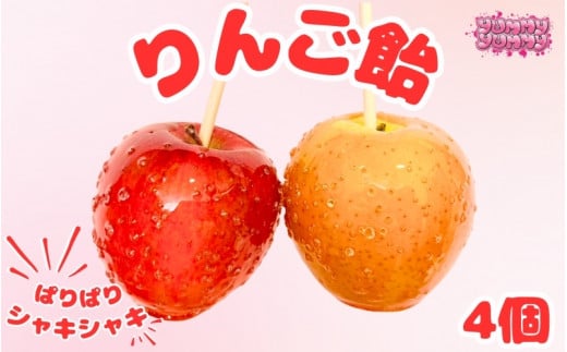 りんご飴 4個/和歌山 田辺市 スイーツ お菓子 デザート りんご飴 りんご リンゴ【yum008】和歌山県田辺市15000菓子・スイーツアイス・ジェラート