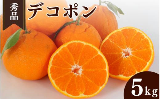 <先行予約>デコポン【秀品】5kg ※2026年3月上旬〜4月上旬頃に順次発送予定【期間限定・数量限定】 / 柑橘 季節限定 お取り寄せ 産地直送 贈答品 ギフト 果物 フルーツ 田辺市 和歌山県【ym