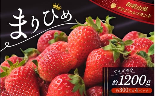 \先行予約/ いちご まりひめ 【ご家庭用】 約300g×4パック M〜3Lサイズ (サイズ指定不可) 2025年12月頃から順次発送 / いちご まりひめ 和歌山ブランド イチゴ 和歌山 果物 フルーツ 野菜