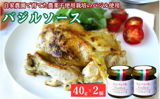 手作りバジルソース 40g×2個 / バジル ソース パスタ 手作り 料理 アレンジ 自家農園 農薬不使用栽培 万能ソース 和歌山 龍神 【mpt001】和歌山県田辺市7000鍋セット・総菜・加工食品その他
