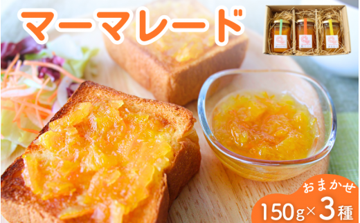 マーマレード おまかせ3種セット(150g×3) / ジャム オレンジ みかん 柑橘 手づくり ビン 詰め合わせ 食べ比べ 和歌山県 田辺市【ktr018】和歌山県田辺市10000鍋セット・総菜・加工食品ジャム