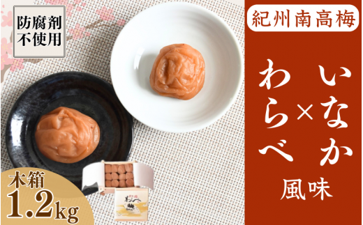 紀州産南高梅 わらべ風味といなか風味のセット 計1.2kg (600g×2種) 木箱/ 梅干し 梅干 梅 和歌山 田辺 紀州南高梅 南高梅 かつお昆布だし お試し 出汁 磯塩 防腐剤不使用 ご飯のお供 スポーツ