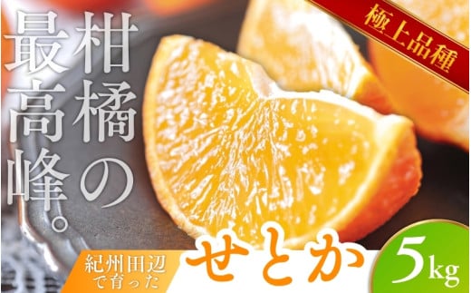 \数量限定/ 露地栽培のせとか 5kg  / せとか 柑橘の大トロ 高級 ブランド 希少なせとか 品種 和歌山蜜柑 和歌山ミカン 高級みかん 人気みかん 果物 くだもの フルーツ 柑橘 蜜柑 産地直送