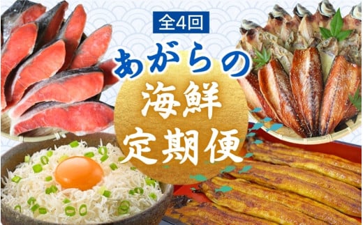 【4カ月定期便】\新登場/ あがらの海鮮定期便 /  鰻 うなぎ 蒲焼 釜揚げしらす 鮭 さけ しゃけ 干物 ひもの 名産 特産 名物 うな重 しらす丼 おかず おつまみ 魚 魚介 新鮮 海の幸 4回 定期
