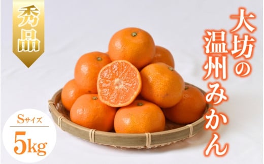 【2025年分先行予約】大坊の温州みかん 5kg(Sサイズ) ※2025年11月中旬〜12月下旬頃に順次発送予定【期間限定・数量限定】 / みかん 蜜柑 小玉 小粒 こだま こつぶ 5キロ お取り寄せ 産地直送