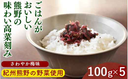 ごはんがおいしい!熊野の味わい高菜刻み 【さわやか梅味】 100g×5袋セット / 梅 うめ 高菜漬け 田辺市 漬物 つけもの 健康 和歌山 醤油 野菜 ご飯のおとも【kms024】和歌山県田辺市7000鍋セッ