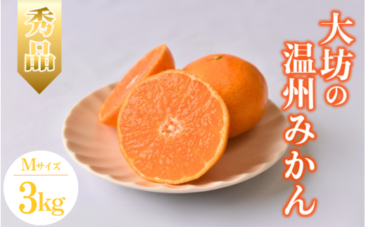 【2025年分先行予約】大坊の温州みかん 3kg(Mサイズ) ※2025年11月中旬〜12月下旬頃に順次発送予定【期間限定・数量限定】 / みかん 蜜柑 3キロ お取り寄せ 産地直送 贈答品 ギフト 果物 くだ