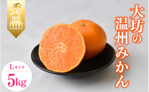 【2025年分先行予約】大坊の温州みかん 5kg(Lサイズ) ※2025年11月中旬〜12月下旬頃に順次発送予定【期間限定・数量限定】 / みかん 蜜柑 5キロ お取り寄せ 産地直送 贈答品 ギフト 果物 くだ