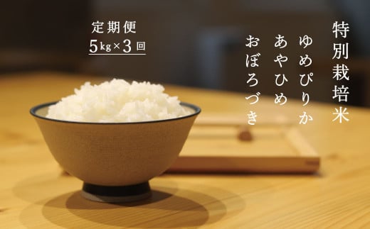 令和6年産 特別栽培米 ゆめぴりか あやひめ おぼろづき 食べ比べ 定期便 当麻グリーンライフ北海道当麻町40000米・パン白米