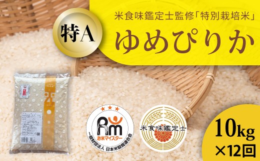 【北海道 農家直送! 米食味鑑定士 三ツ星お米マイスター 栽培 監修 定期便】舟山農産 令和7年産特別栽培米ゆめぴりか 10kg×12回コース北海道当麻町384000米・パン白米
