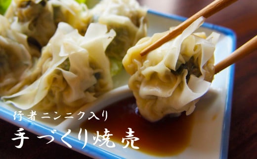 行者にんにく入り冷凍焼売 20個【九州・沖縄配送不可】北海道当麻町12000肉その他 肉